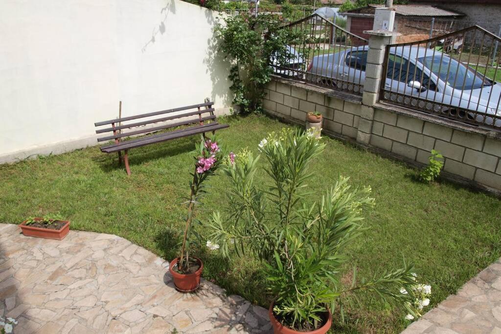 Къща За Гости Шишкови Šabla Exteriér fotografie